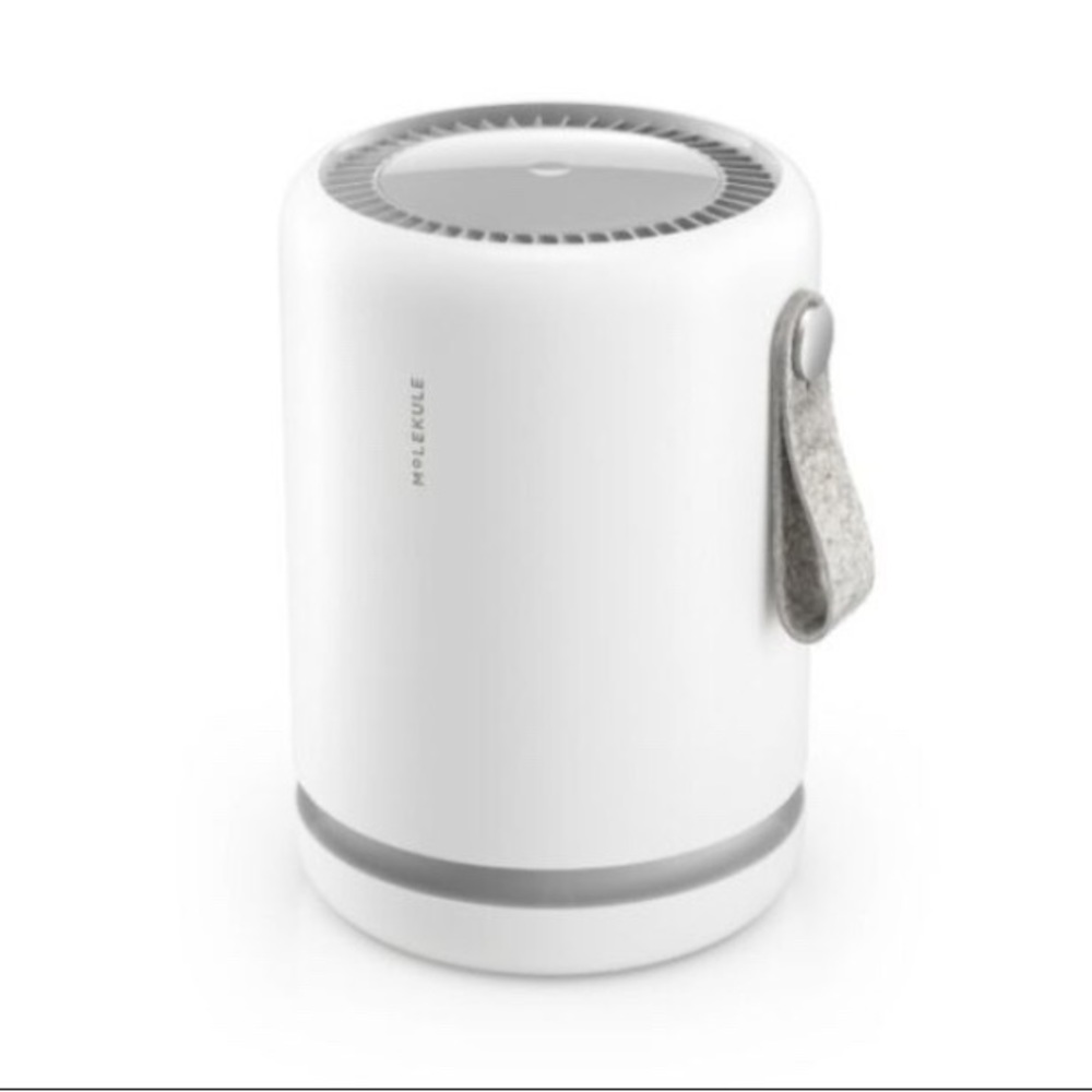Molekule air mini